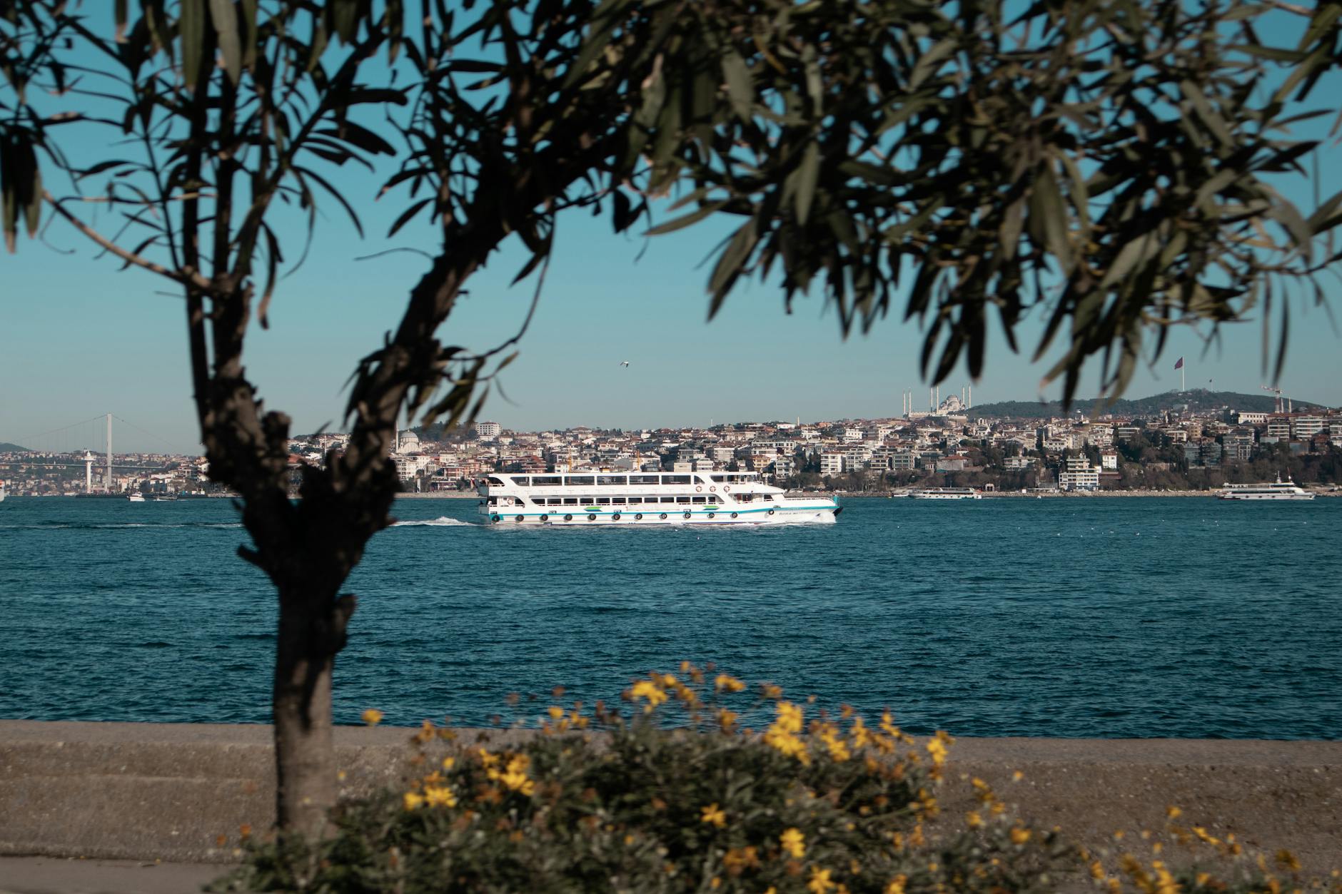 丘の上の公園から木々越しに眺めるボスポラス海峡と対岸の塔の絶景。